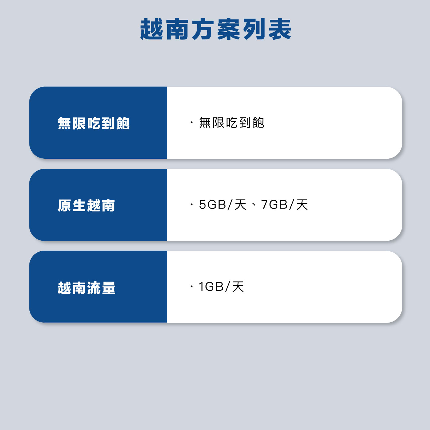 越南 eSIM 網卡